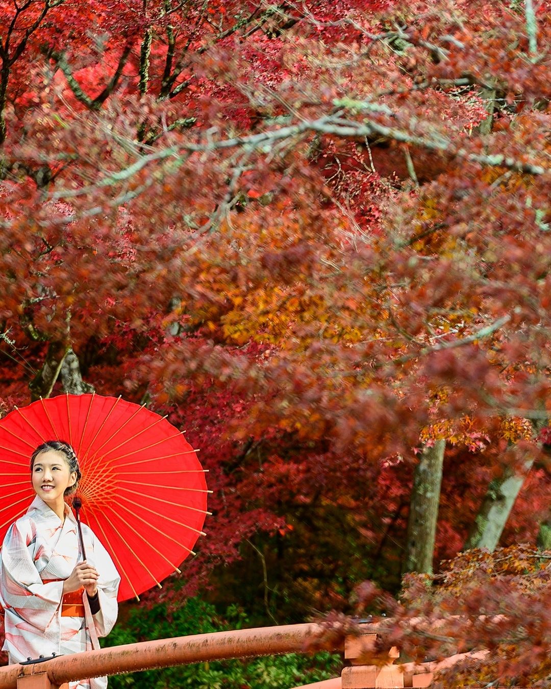Genel Görünüm
